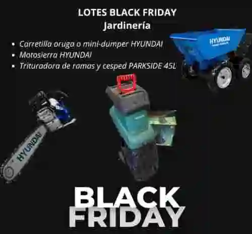 1. LOTES BLACK FRIDAY Jardinería 5