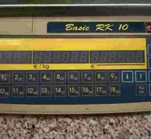 2. Balanza Digital MICRA BASIC RK 10