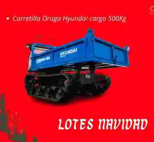 1. Carretilla Oruga Hyundai carga 500Kg