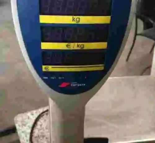 3. Balanza Digital MICRA BASIC RK 10