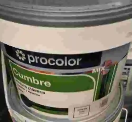 5. LOTE DE PINTURA PLASTICA