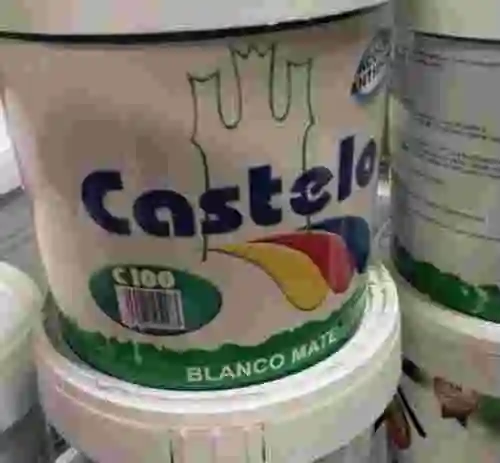 2. LOTE DE PINTURA PLASTICA