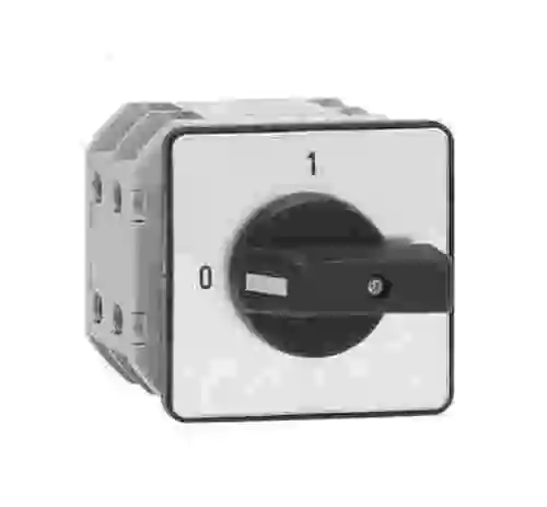 1. LOTE DE 2 Interruptores bifásicos de leva OL80NA4RB