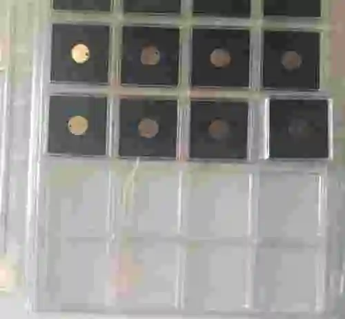 8. Sistema integrado BWTEK (Sonda + Cabezal de toma de muestras + accesorios)