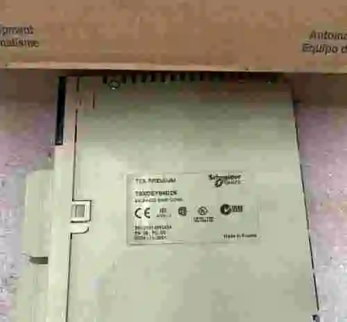 3. SCHNEIDER ELECTRIC TSX PREMIUM  TSXDEY64D2K