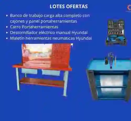 1. LOTES OFERTAS 10