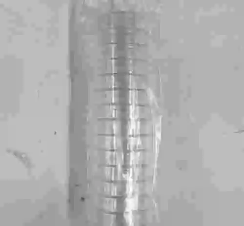 1. FISHER SCIENTIFIC PLACA PETRI 55 MM (15 UNIDADES)