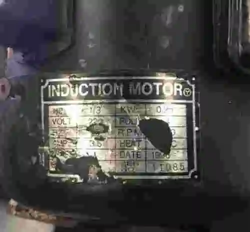 5. Sierra cinta MG 115  giratoria sobre banco de trabajo  con tornillo de fijación.
