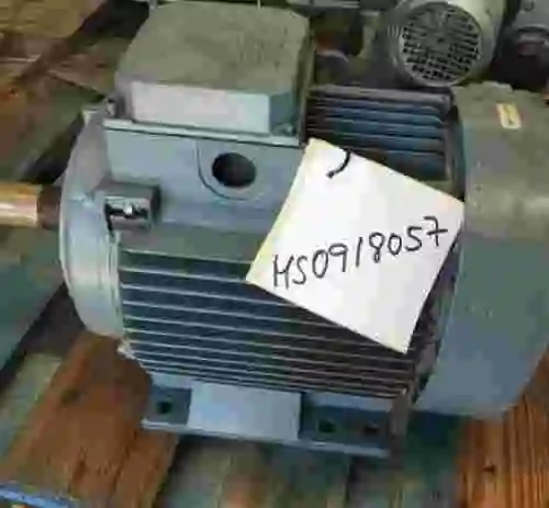 2. Motor electrico con patas.