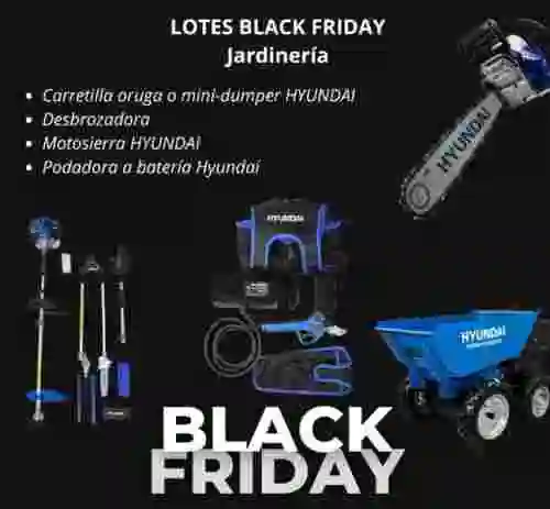 1. LOTES BLACK FRIDAY Jardinería 3