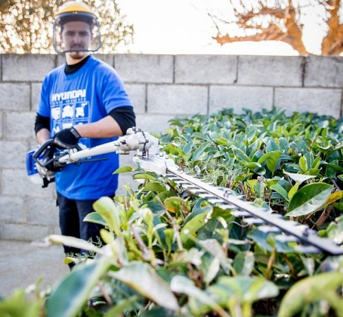 5. HYMT43 KIT Desbrozadora Multifunción 4 EN 1 Hyundai