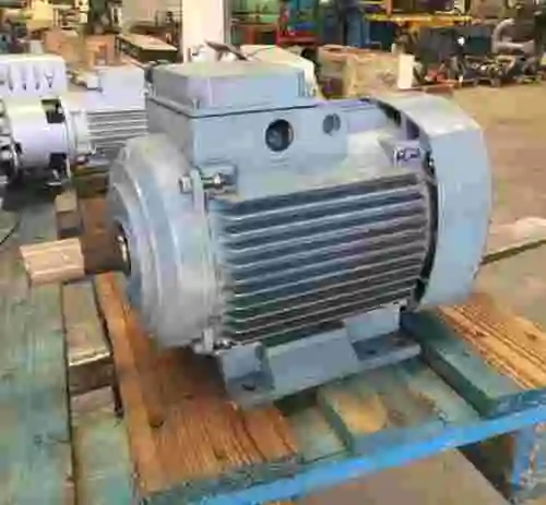 1. Motor electrico con patas.
