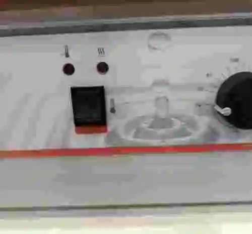 2. BAÑO TERMOSTÁTICO 20L. 200ºC BUNSEN  1607