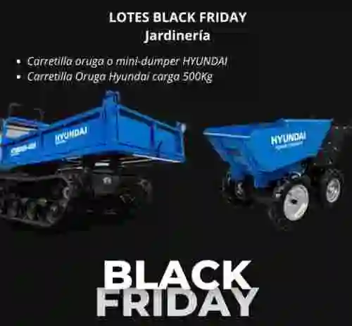1. LOTES BLACK FRIDAY