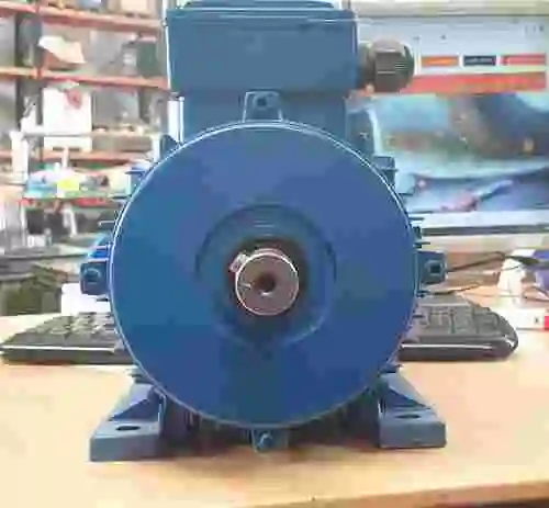 5. MOTOR DE INDUCCIÓN TRIFÁSICO ALREN ALF90L1-4