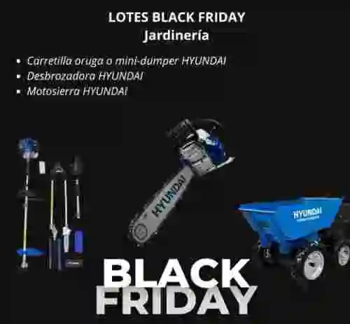 1. LOTES BLACK FRIDAY Jardinería 1