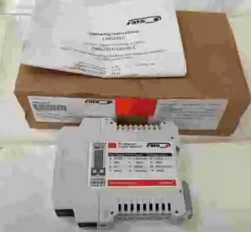 1. Amplificador de asignación de pines FMS EMGZ 310